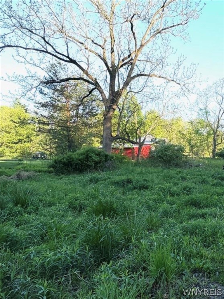 1441 Sturgeon Point Road Evans, NY 14047 - Photo 2 of 4