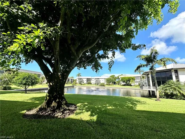 a view of a backyard with large trees