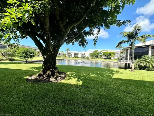a view of a garden with a tree