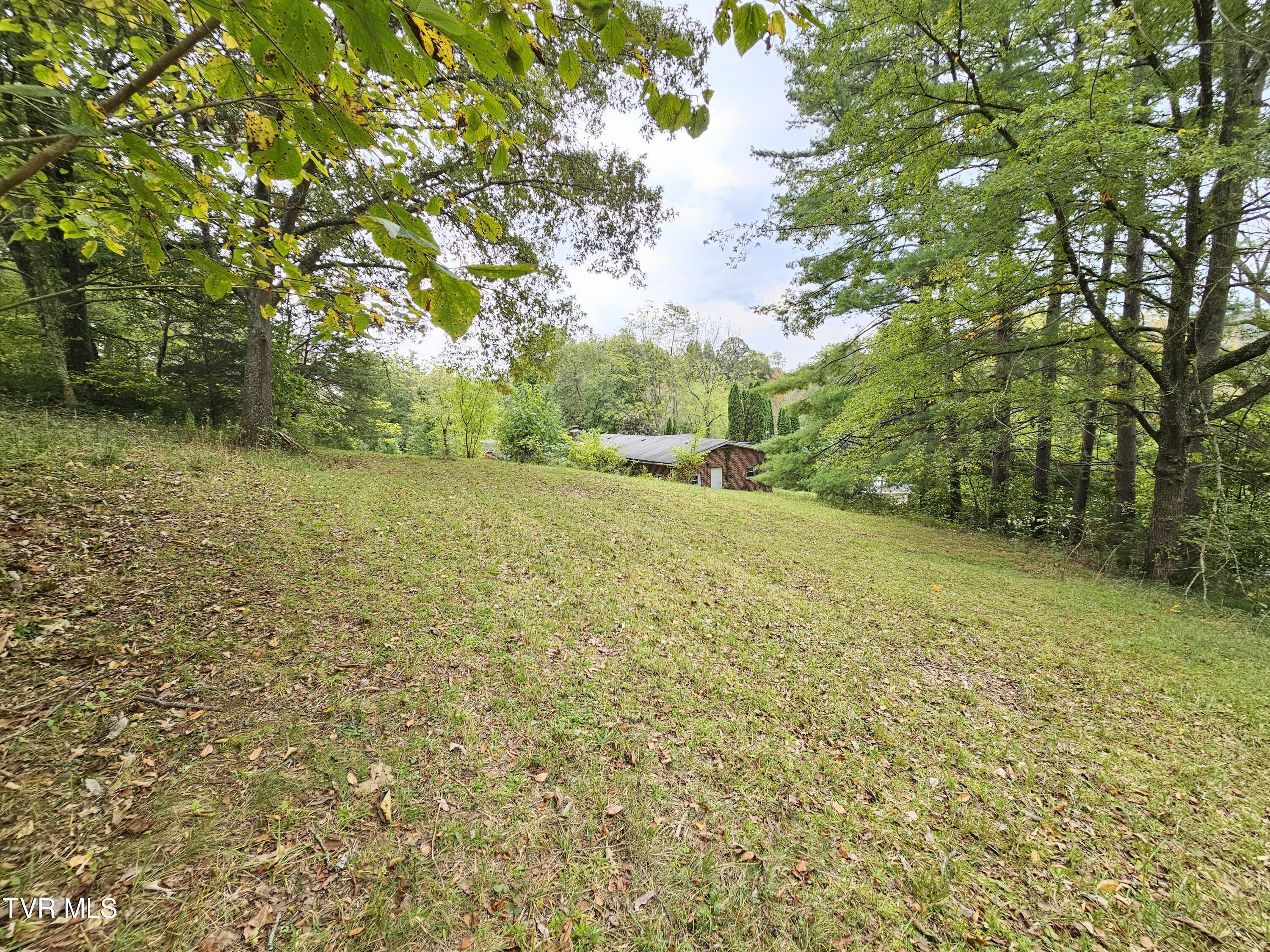 236 Old Watauga Road Elizabethton, TN 37643 - Photo 46 of 55 20241004_141647