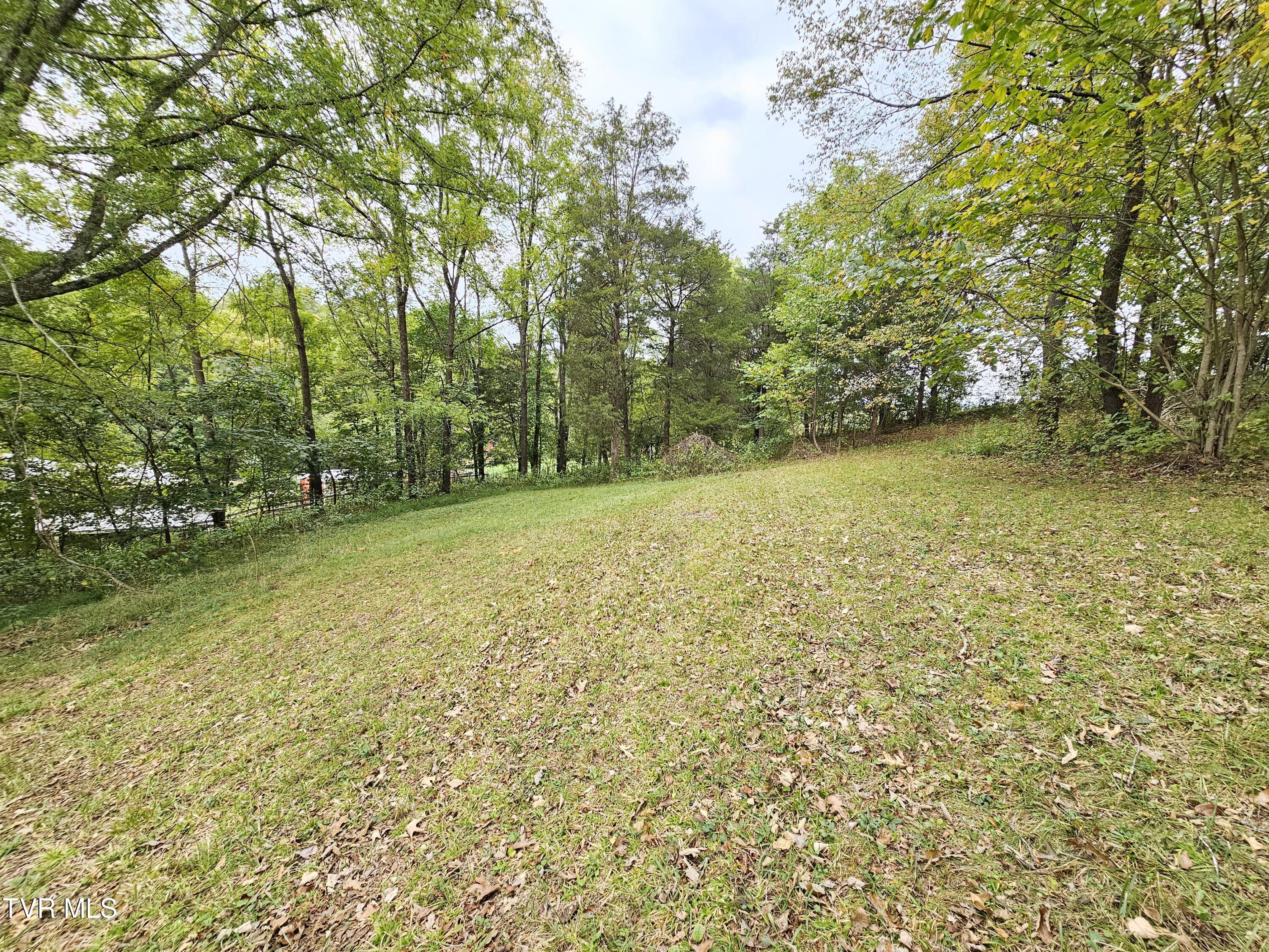 236 Old Watauga Road Elizabethton, TN 37643 - Photo 48 of 55 20241004_141723