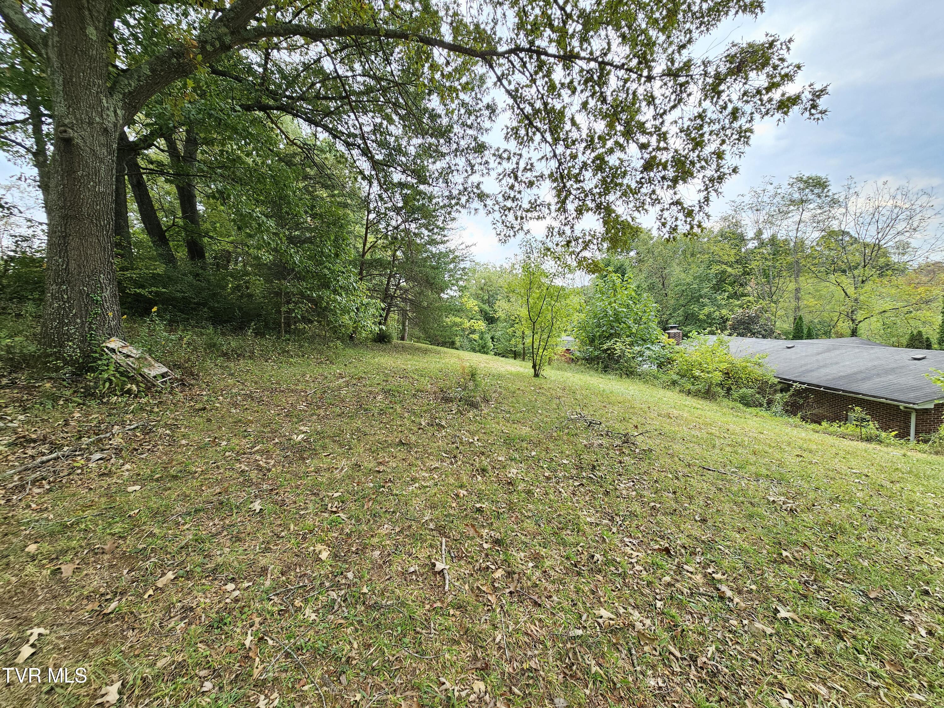 236 Old Watauga Road Elizabethton, TN 37643 - Photo 49 of 55 20241004_141731