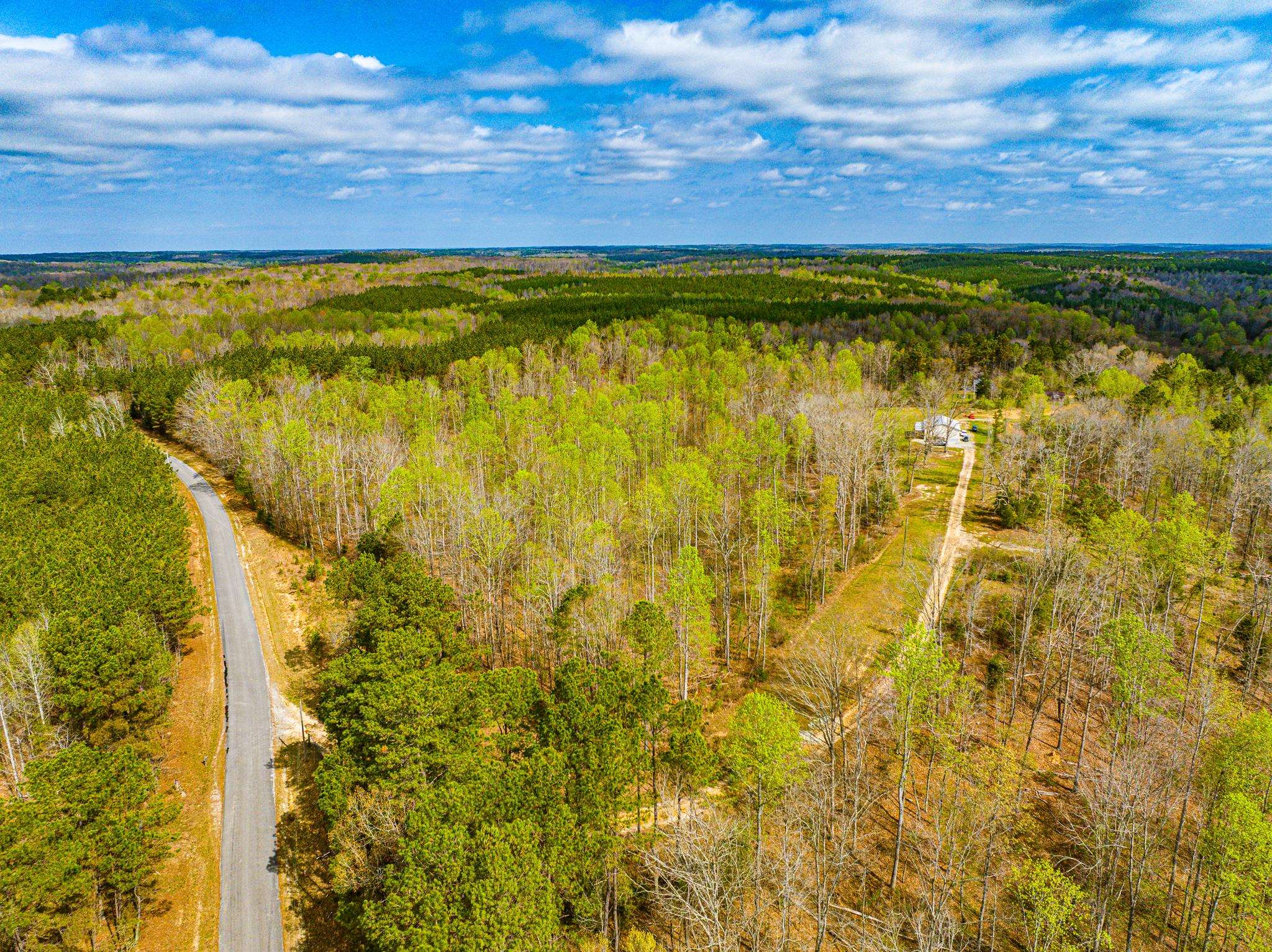 2933 Cavia Road Holladay, TN 38341 - Photo 14 of 40 a view of an ocean from a yard