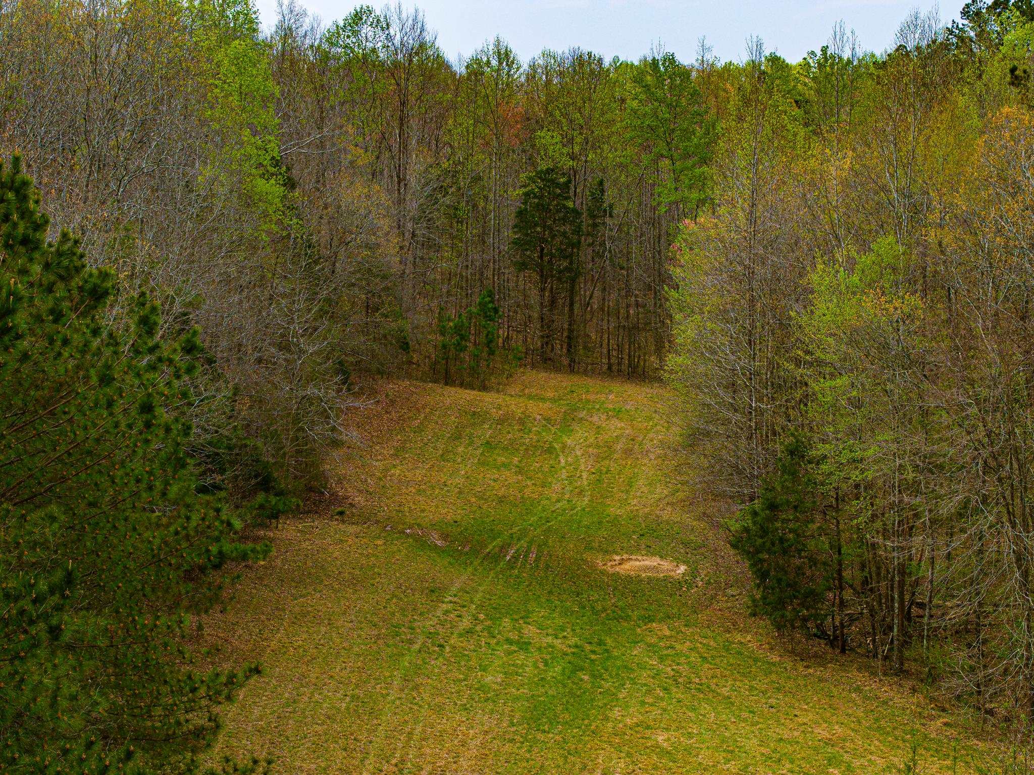 2933 Cavia Road Holladay, TN 38341 - Photo 20 of 40 a view of a small yard