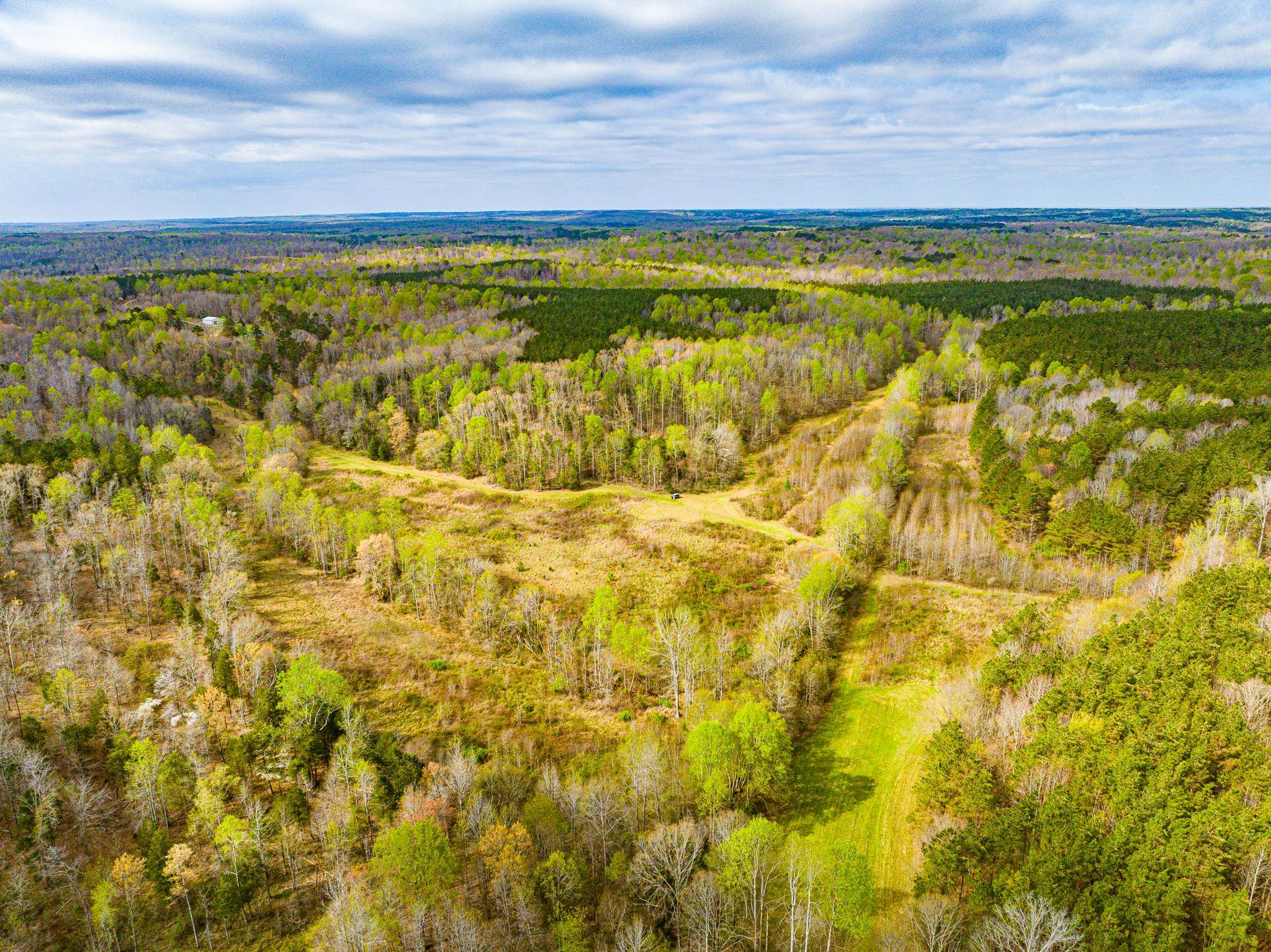 2933 Cavia Road Holladay, TN 38341 - Photo 21 of 40 a view of an ocean