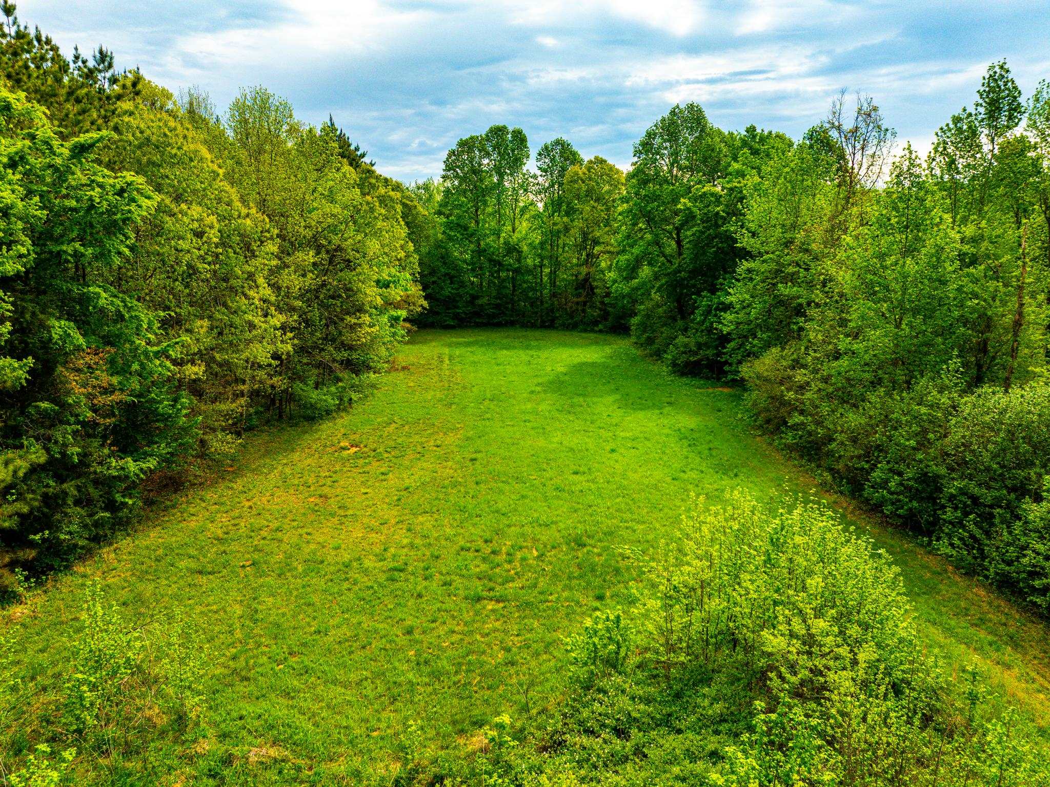 2933 Cavia Road Holladay, TN 38341 - Photo 31 of 40 a view of a yard