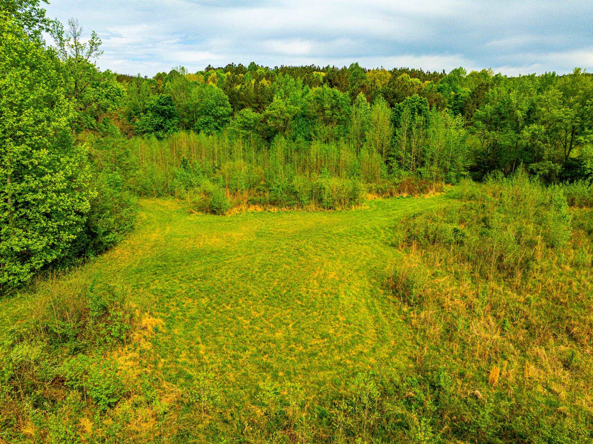 2933 Cavia Road Holladay, TN 38341 - Photo 33 of 40 a view of a lake from a yard