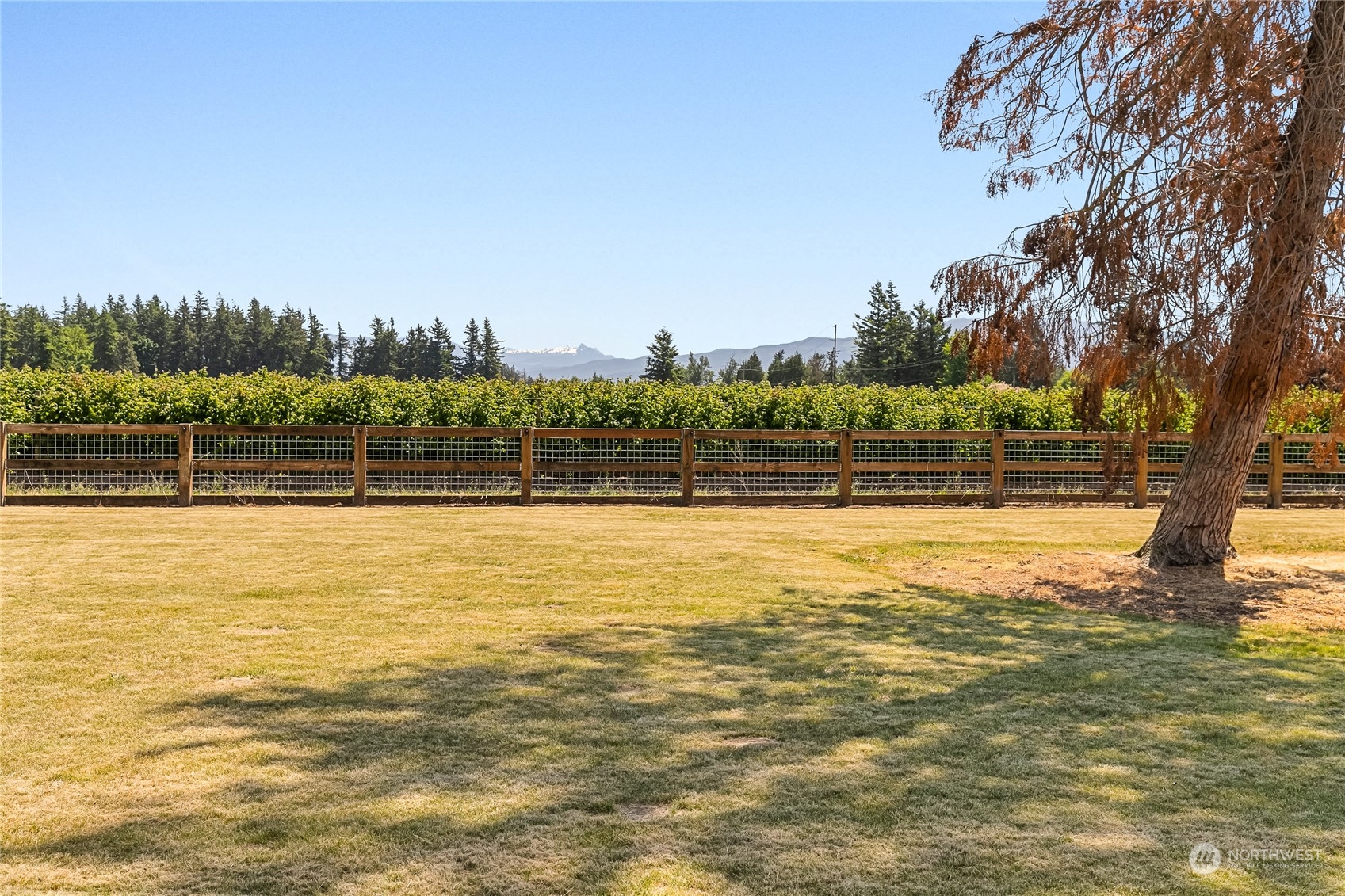 1520 East Badger Road Lynden, WA 98264 - Photo 33 of 36