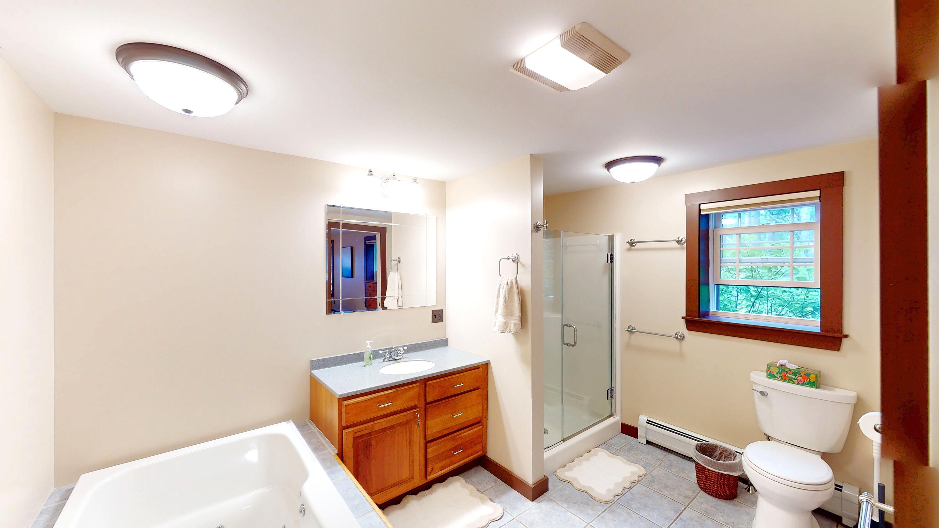 39 Lakeview Avenue Dedham, ME 04429 - Photo 33 of 73 Primary-Bath- (1)