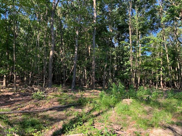 1009 A Six Mile Run Road Six Mile Run, PA 16679 - Photo 33 of 47 Gallery Image 33
