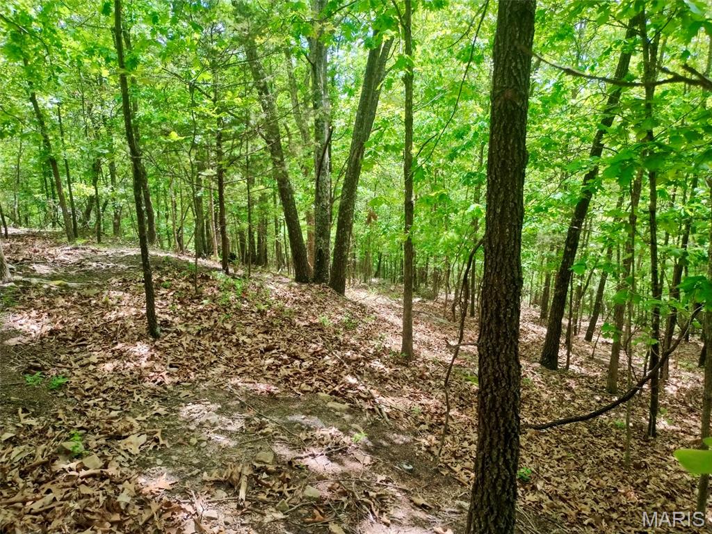 300 Russell Road, Unit A & B Sullivan, MO 63080 - Photo 23 of 27