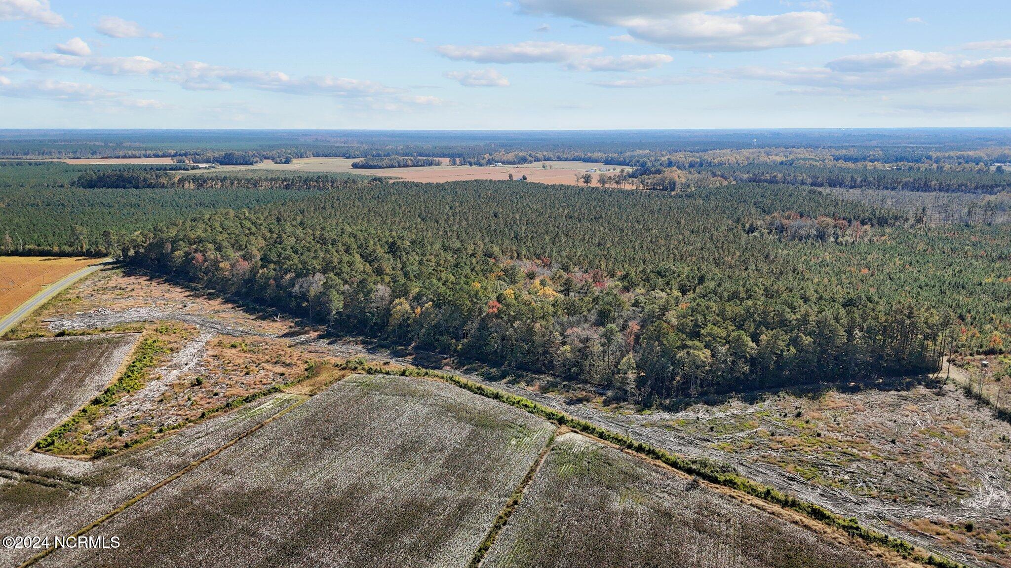 585 Lewis Road Vanceboro, NC 28586 - Photo 12 of 18 585 Lewis Rd Vanceboro NC