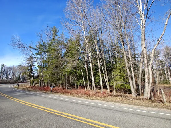 $14,000 | Vl West Lake Mitchell Drive, Cadillac, MI 49601