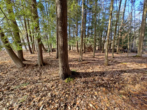 $14,000 | Vl West Lake Mitchell Drive, Cadillac, MI 49601