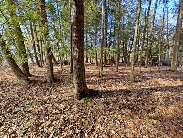 $14,000 | Vl West Lake Mitchell Drive, Cadillac, MI 49601