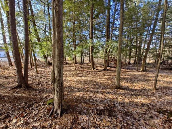 $14,000 | Vl West Lake Mitchell Drive, Cadillac, MI 49601