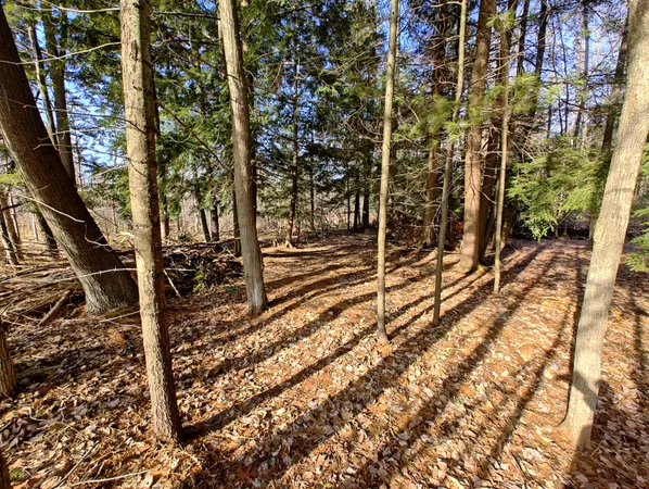$14,000 | Vl West Lake Mitchell Drive, Cadillac, MI 49601