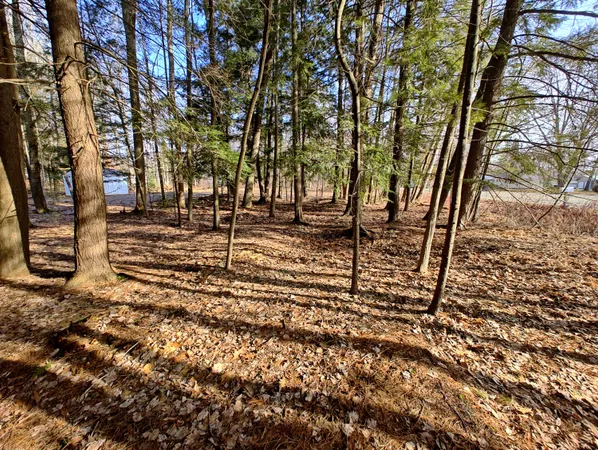 $14,000 | Vl West Lake Mitchell Drive, Cadillac, MI 49601