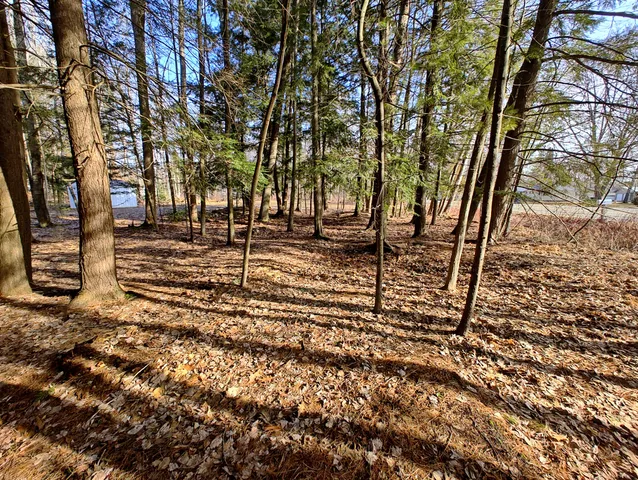 $14,000 | Vl West Lake Mitchell Drive, Cadillac, MI 49601