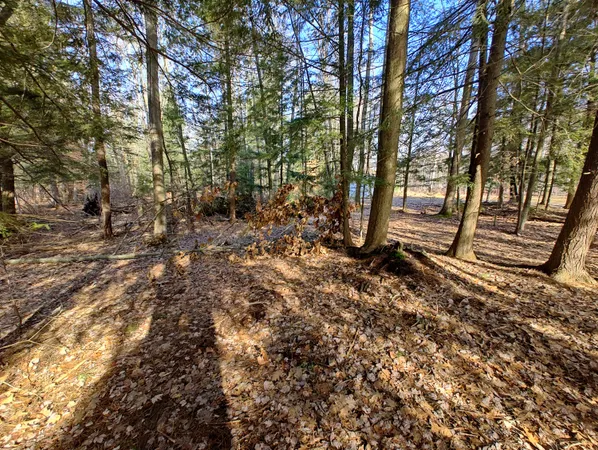 $14,000 | Vl West Lake Mitchell Drive, Cadillac, MI 49601