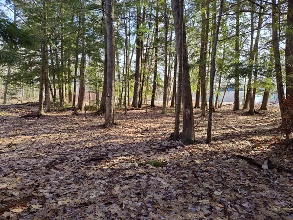 $14,000 | Vl West Lake Mitchell Drive, Cadillac, MI 49601
