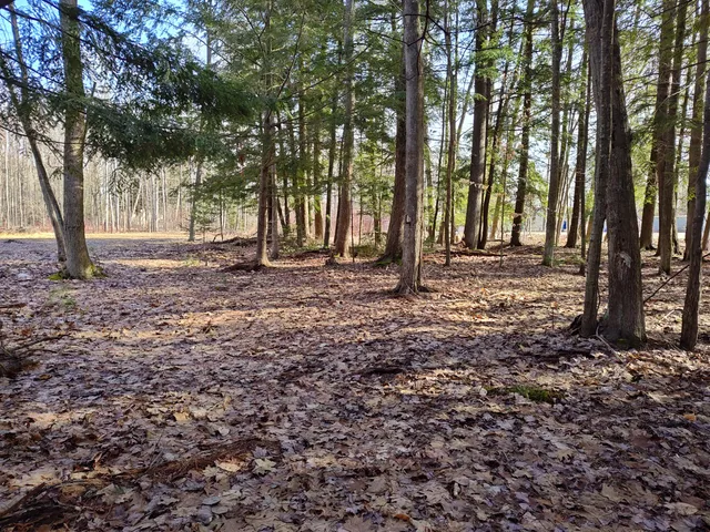 $14,000 | Vl West Lake Mitchell Drive, Cadillac, MI 49601