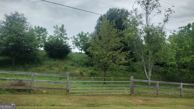 a view of a lush green forest