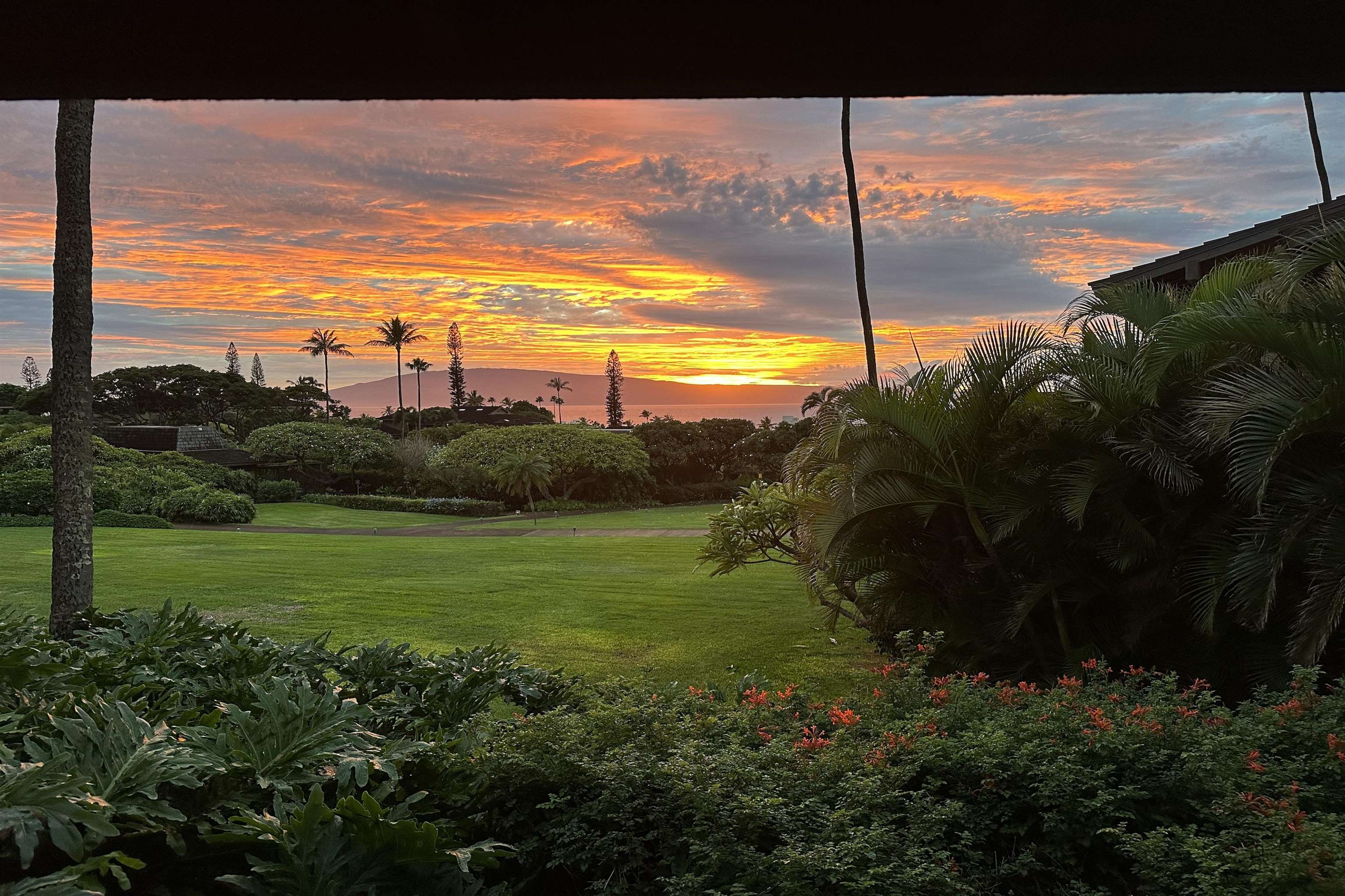 150 Puukolii Road, Unit 43 Lahaina, HI 96761 - Photo 7 of 31 a view of a back yard