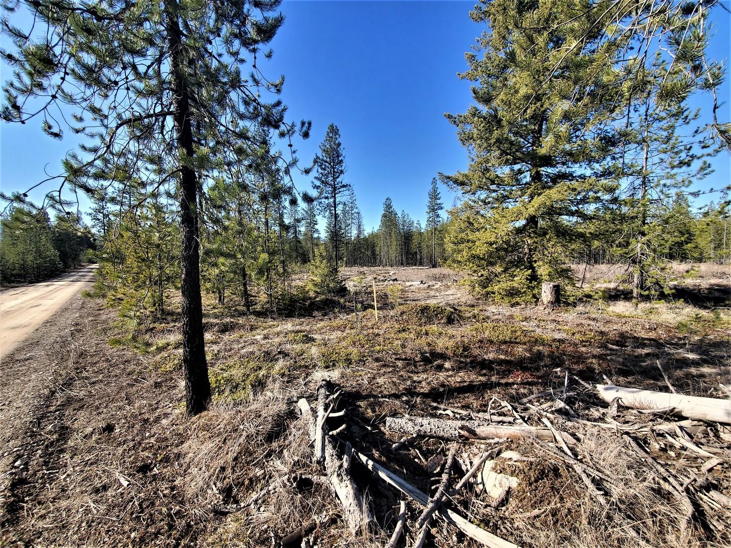 Nkn Nkn Bumpy Road Blanchard, ID 83804 - Photo 1 of 1 Lots 1 & 2 Hunter Acres