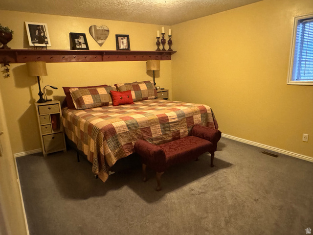 655 North 8th East Preston, ID 83263 - Photo 11 of 32 Bedroom featuring a textured ceiling and carpet floors