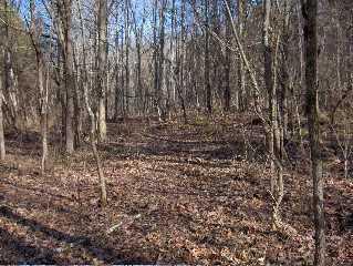 Lot 36 Creswell Road Seymour, TN 37865 - Photo 14 of 15 Creswell 3
