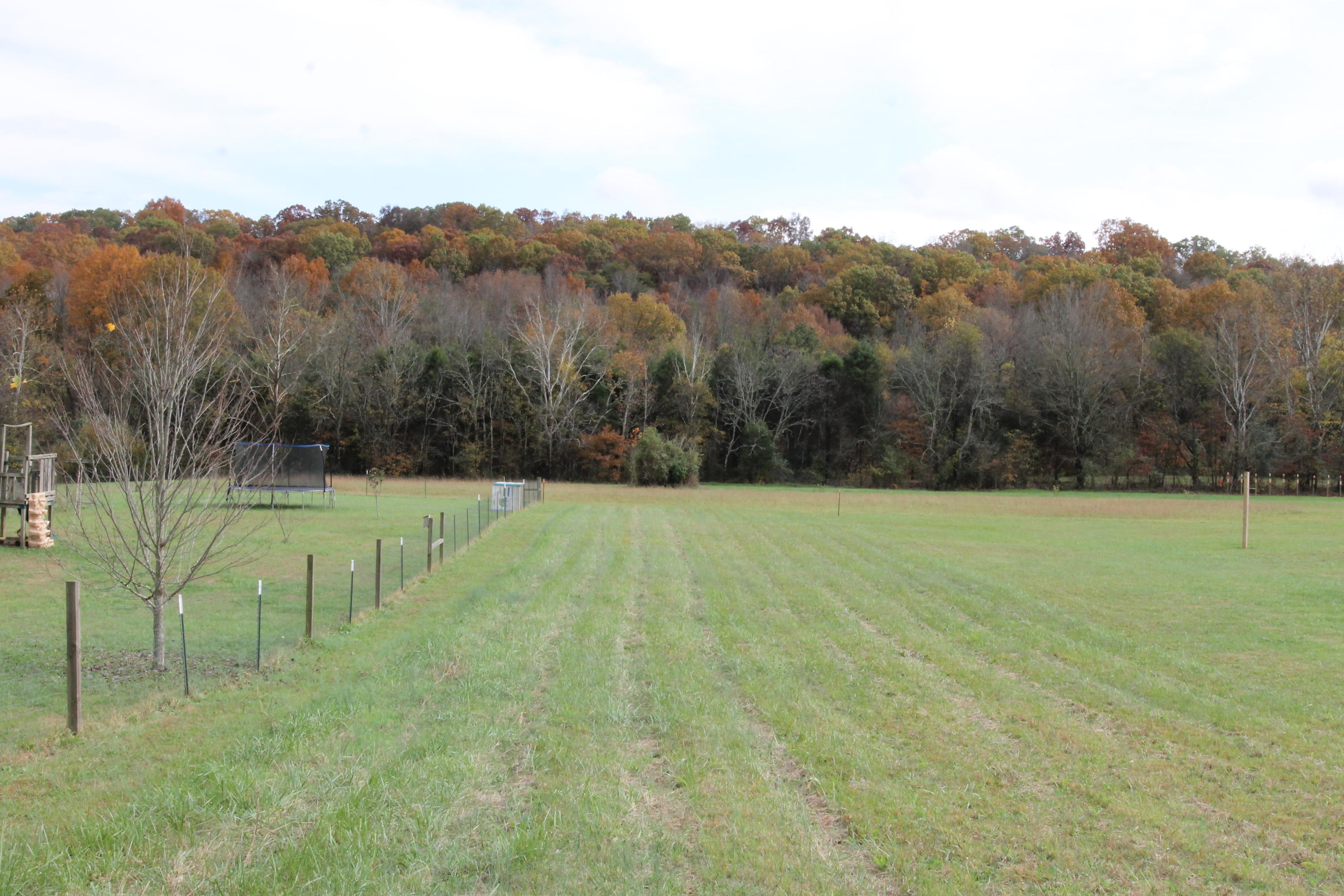 Lot 36 Creswell Road Seymour, TN 37865 - Photo 3 of 15 2017-11-07 02.36.19