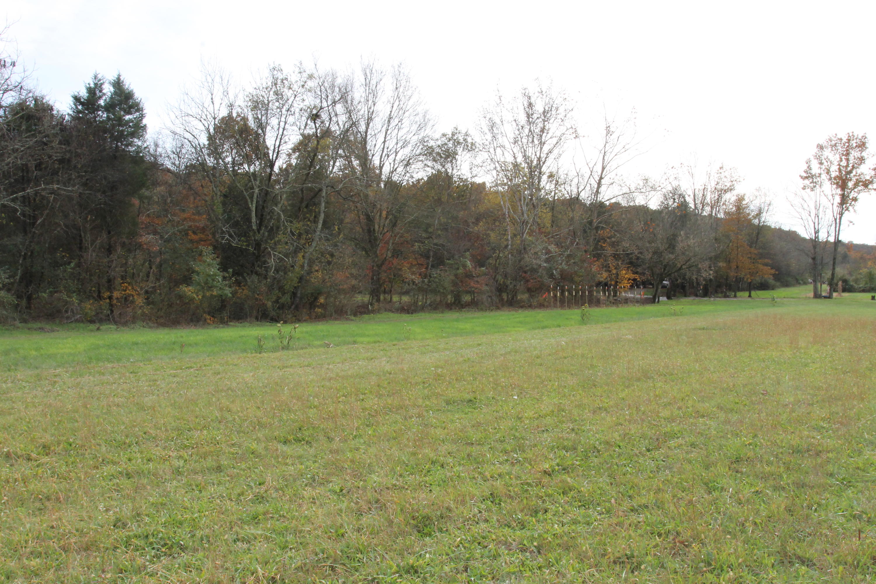 Lot 36 Creswell Road Seymour, TN 37865 - Photo 8 of 15 2017-11-07 02.37.52
