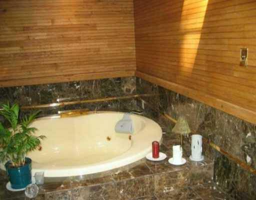 735 Pinetree Road Mt. Lebanon, PA 15243 - Photo 6 of 8 Swimming Pool/Hot Tub/Sauna.