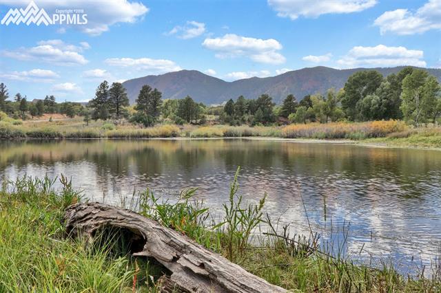 18365 Forest View Road Monument, CO 80132 - Photo 10 of 12
