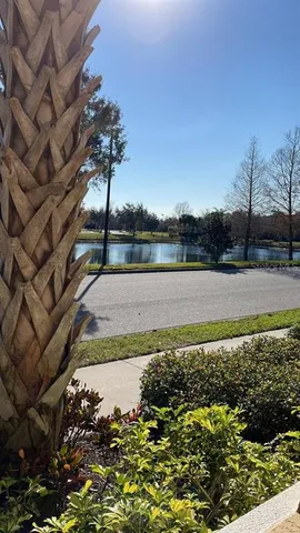 a view of a water pond with green field