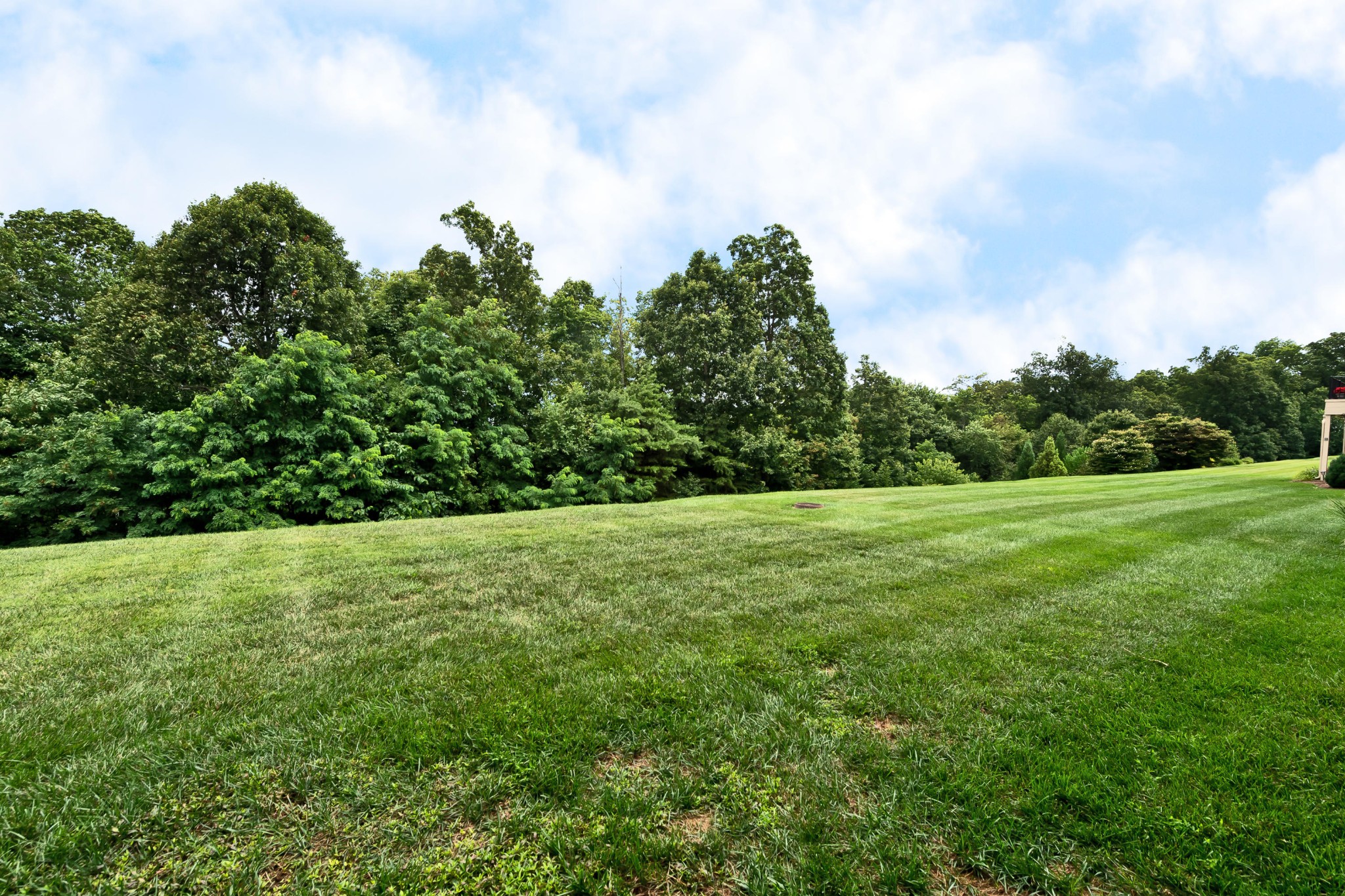 12635 Ridgepath Lane Knoxville, TN 37922 - Photo 39 of 40 Gallery Image 39