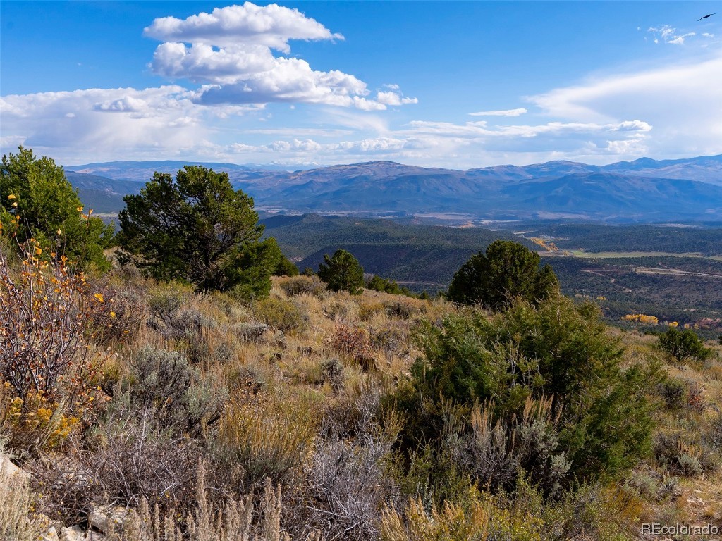 0 State Highway McCoy, CO 80463 - Photo 14 of 29 a view of a bunch of trees in a field