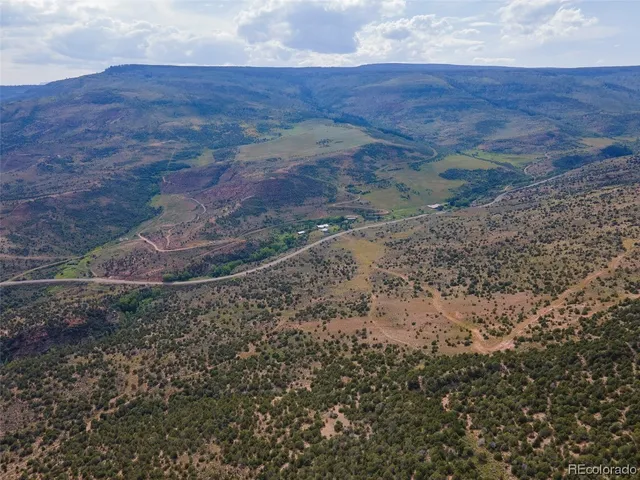a view of a dry yard with wooden floor and fence