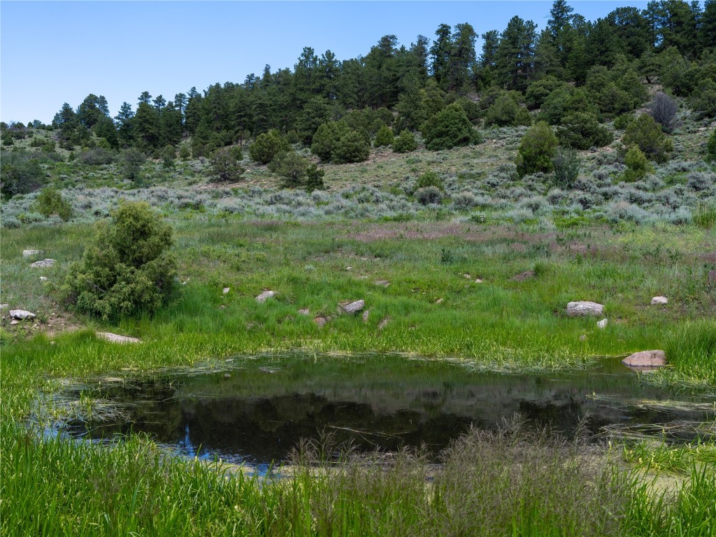 0 State Highway McCoy, CO 80463 - Photo 26 of 29 a view of a lush green forest with lots of trees