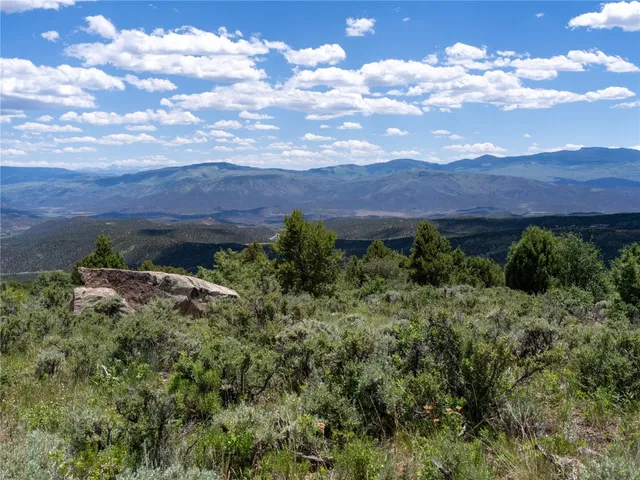 a view of a bunch of trees in a field