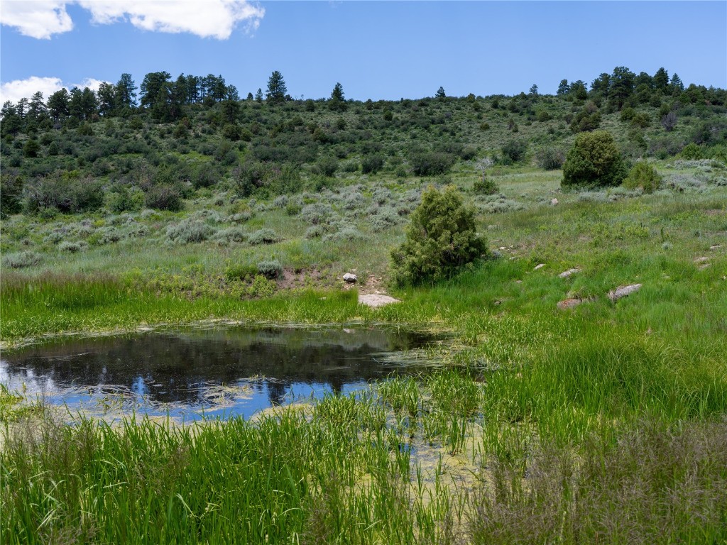 0 State Highway McCoy, CO 80463 - Photo 28 of 29 a view of a garden with a building in the background