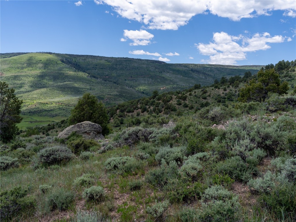 0 State Highway McCoy, CO 80463 - Photo 29 of 29 a view of a big yard