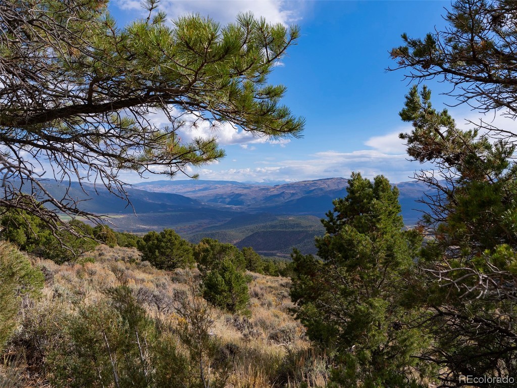 0 State Highway McCoy, CO 80463 - Photo 6 of 29 a view of a yard in a yard