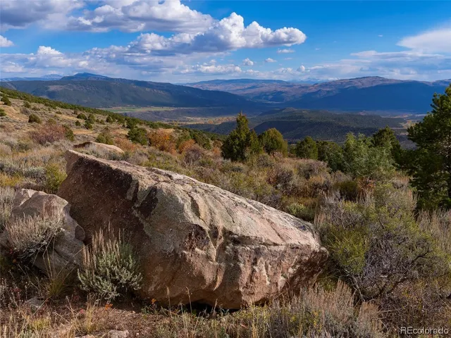 a view of a yard with mountain and a forest