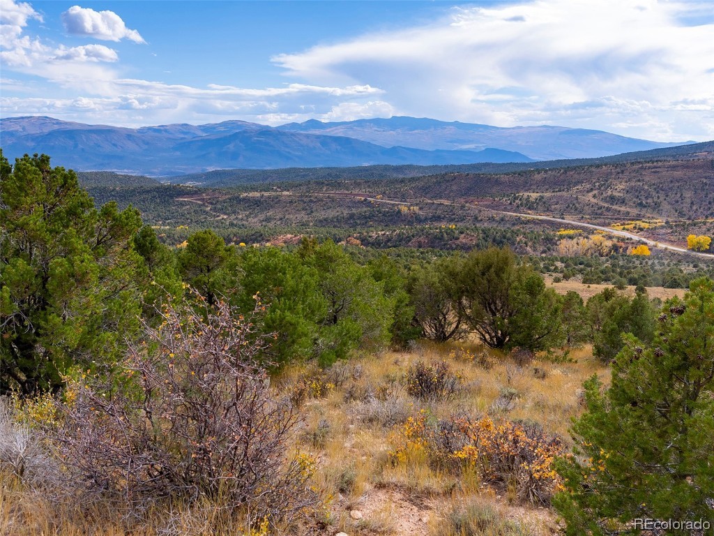 0 State Highway McCoy, CO 80463 - Photo 10 of 29 a view of a forest with trees in the background