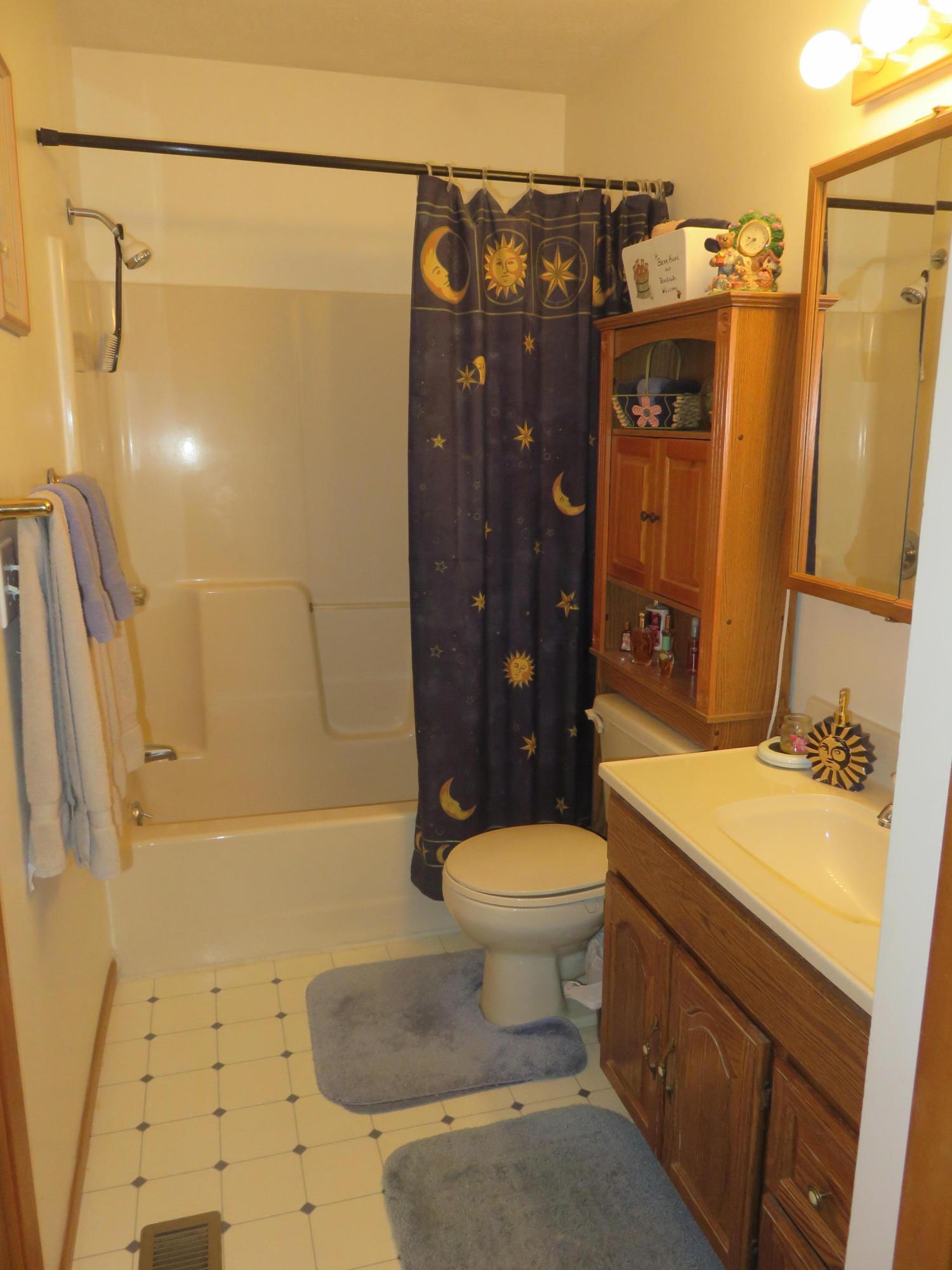 7800 Roberson Spring Road Loudon, TN 37774 - Photo 11 of 17 a bathroom with a sink a toilet and shower