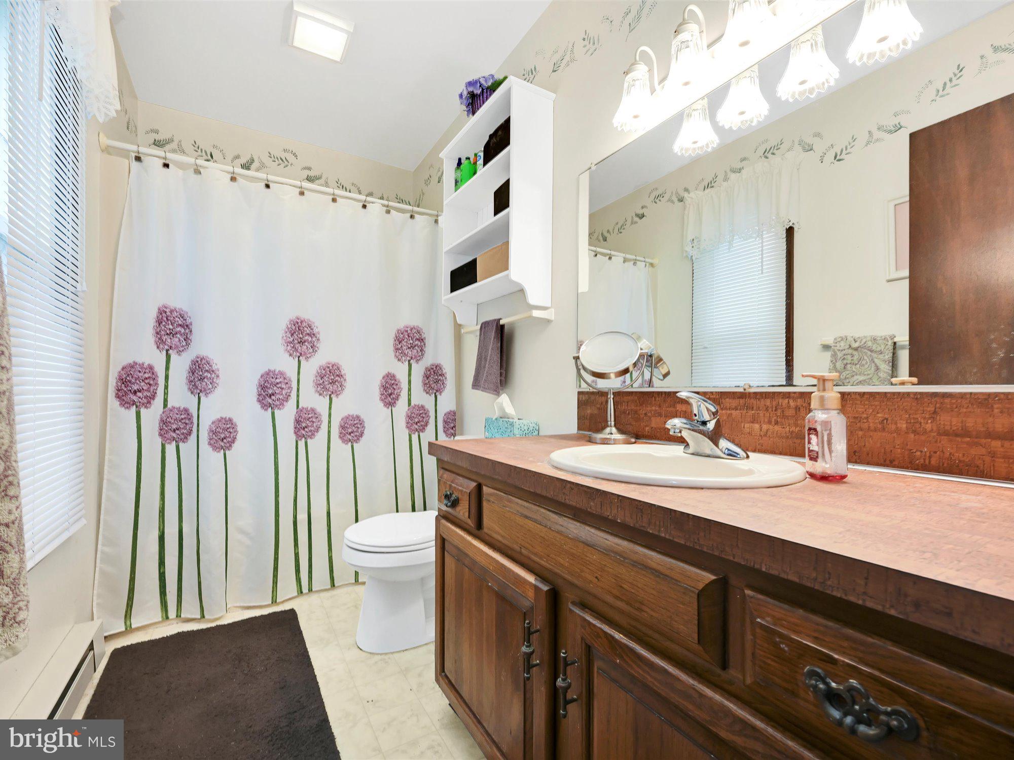 607 Ridgeview Road South Elizabethtown, PA 17022 - Photo 21 of 28 Primary Bathroom