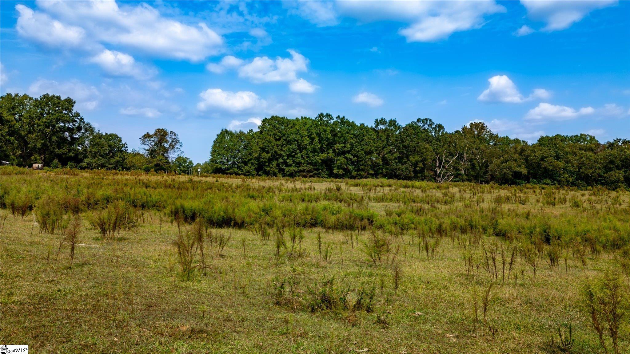 169 Cooley Bridge Road Pelzer, SC 29669 - Photo 11 of 24