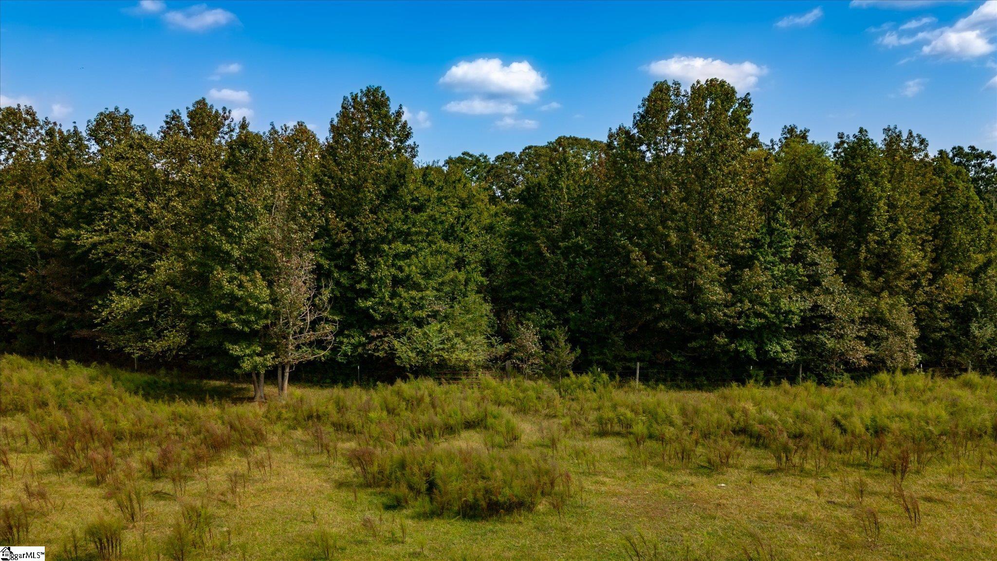 169 Cooley Bridge Road Pelzer, SC 29669 - Photo 12 of 24